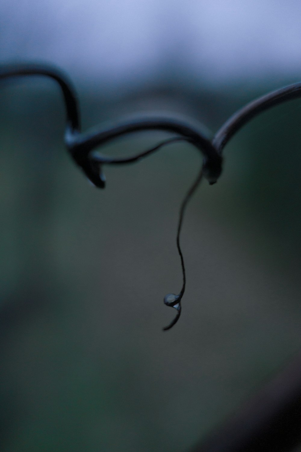 a drop of water hanging from a wire