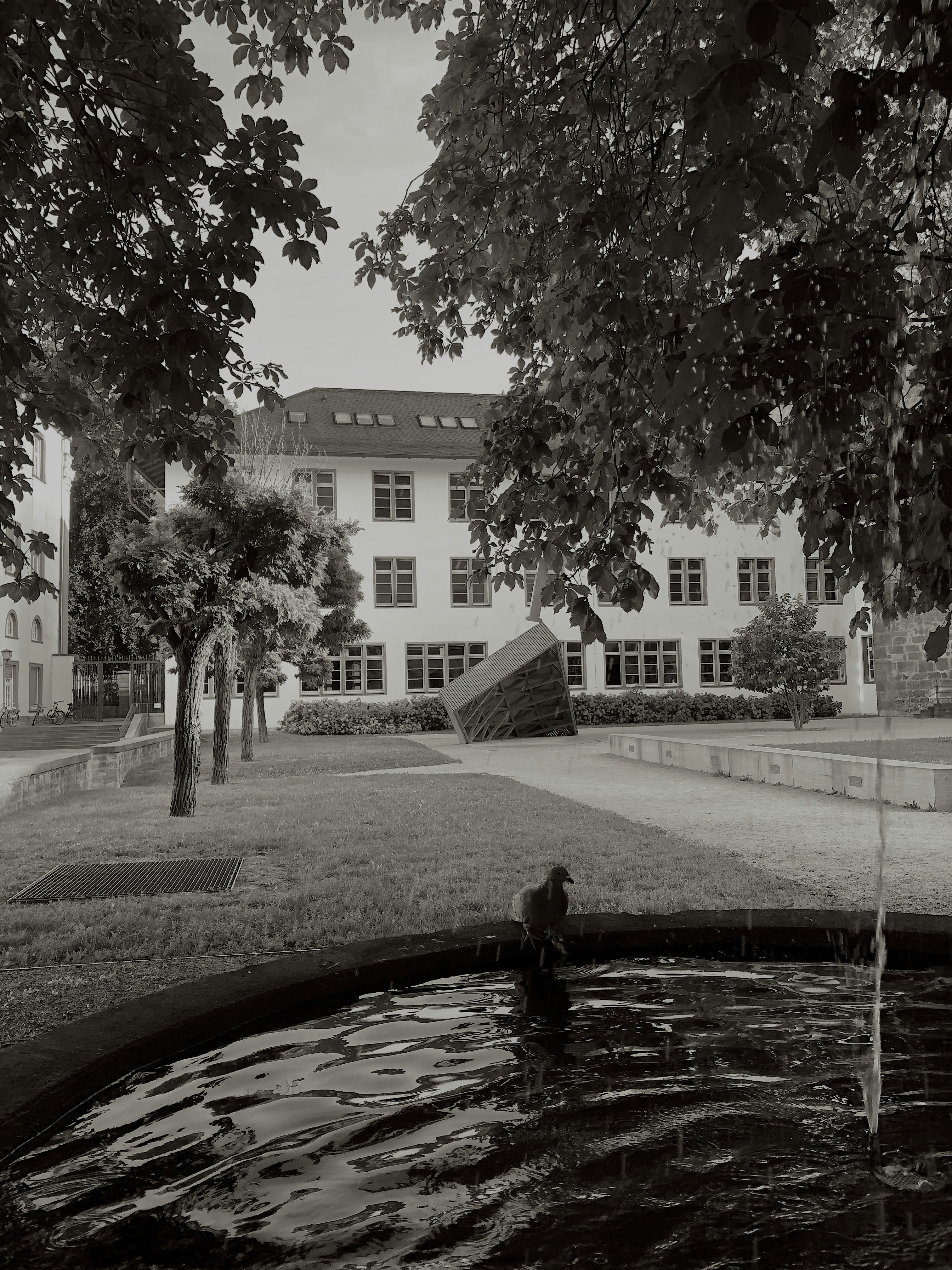 Heidelberg University