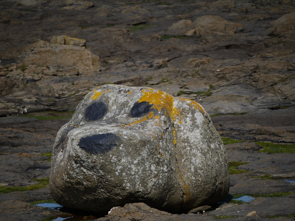 a rock with a smiley face painted on it