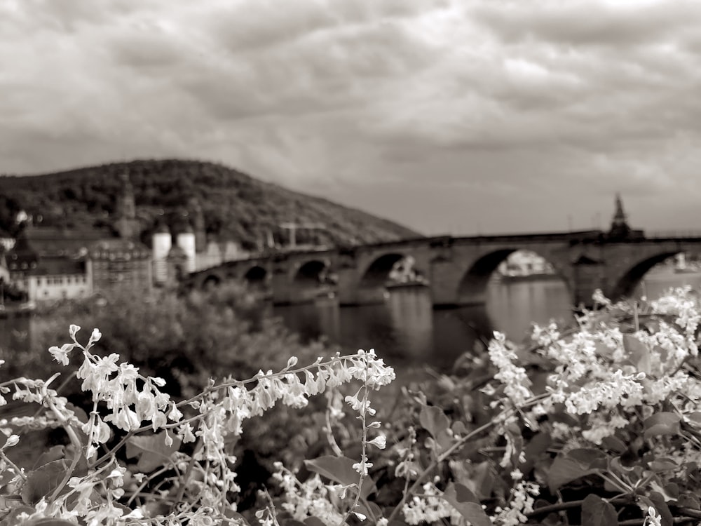 a black and white photo of a bridge and flowers