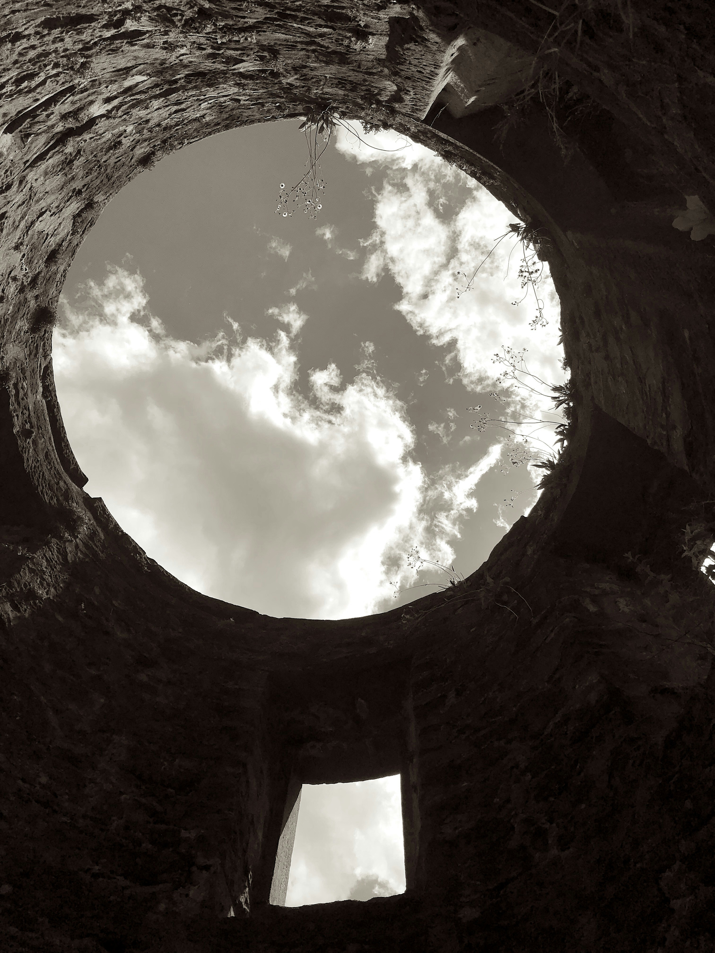 Photo by crimsonmiraclet