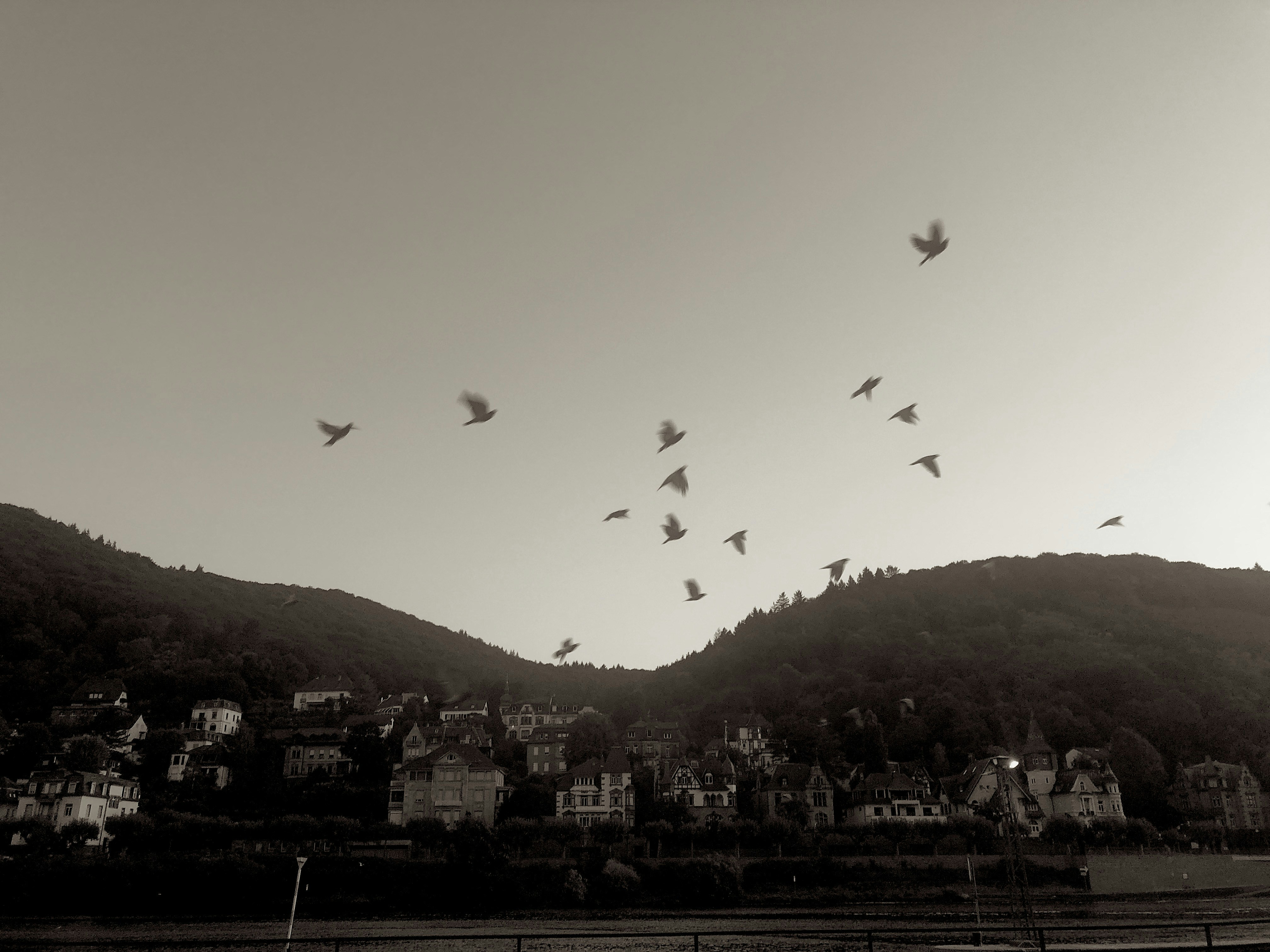 A Call to Wonder: The Magic All Around Us (image credits: unsplash)