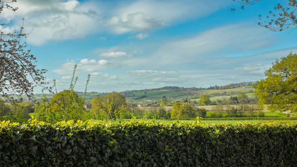 Blick auf eine saftig grüne Landschaft mit blauem Himmel