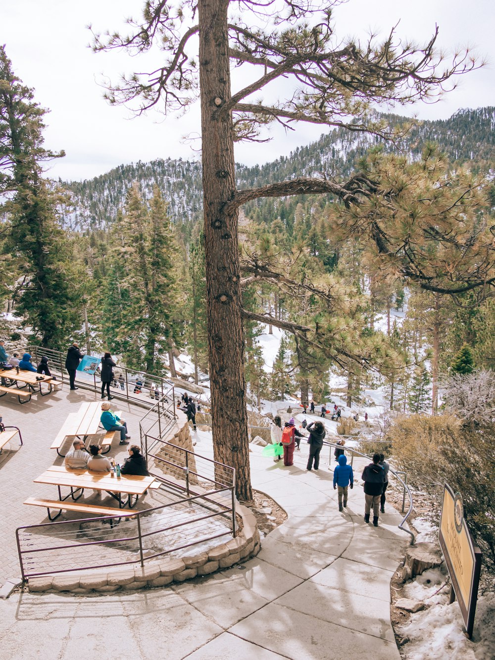 a group of people walking around a park