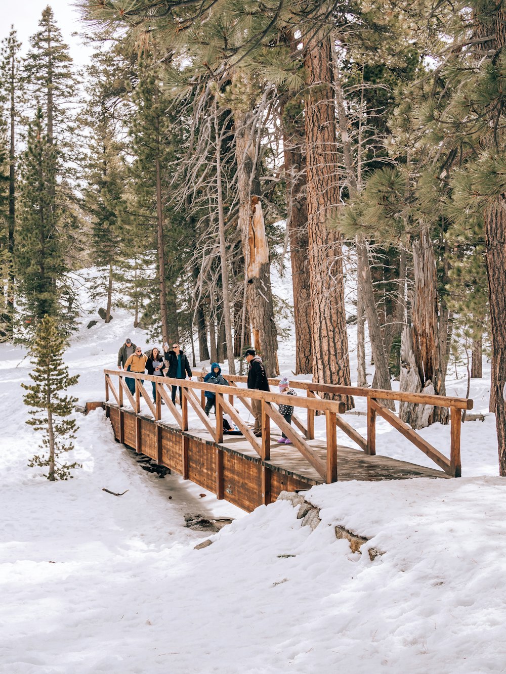 a group of people walking across a snow covered bridge