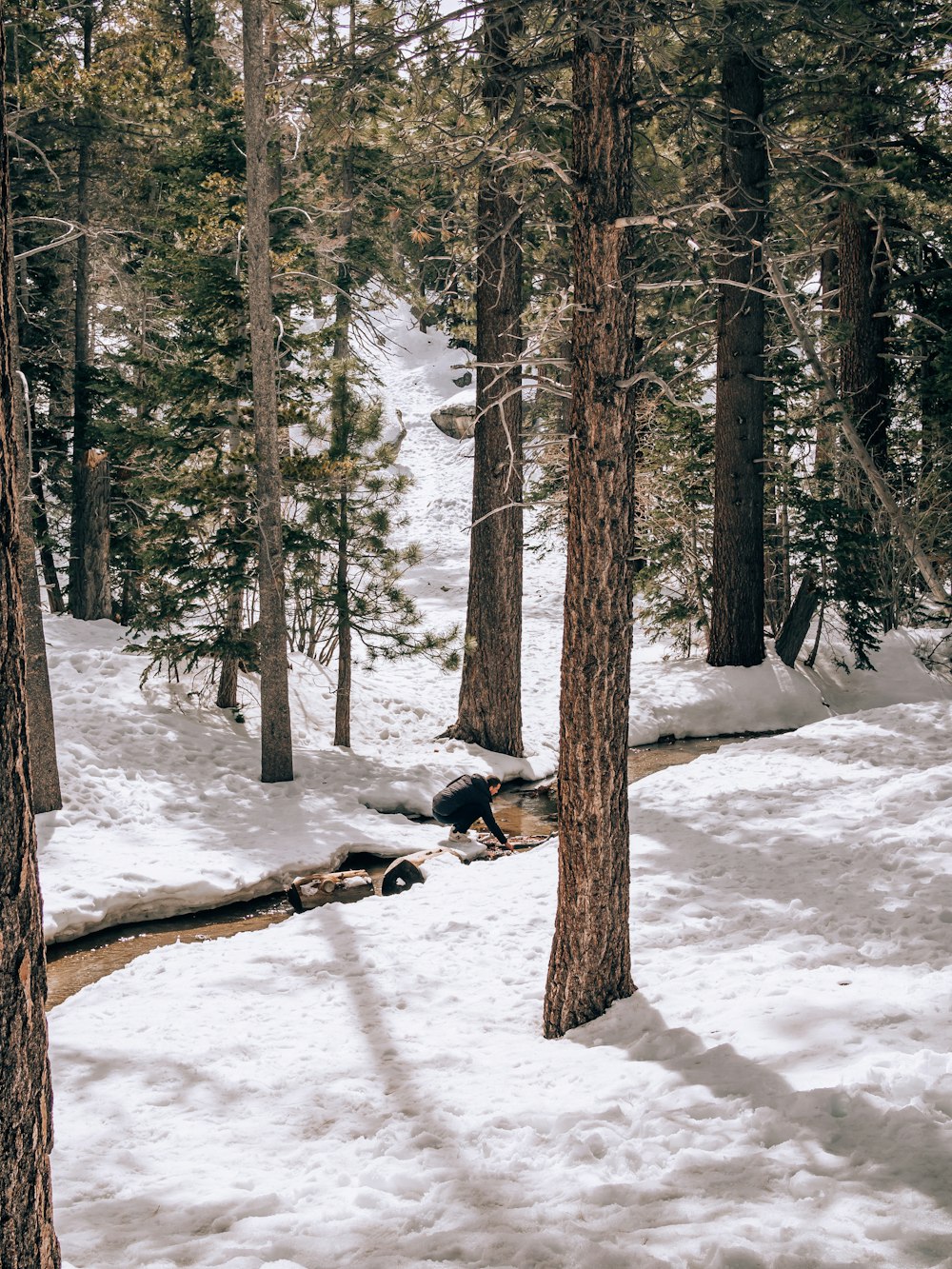 a man riding skis down a snow covered slope