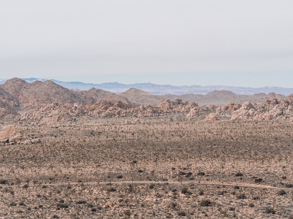a view of a desert with mountains in the background