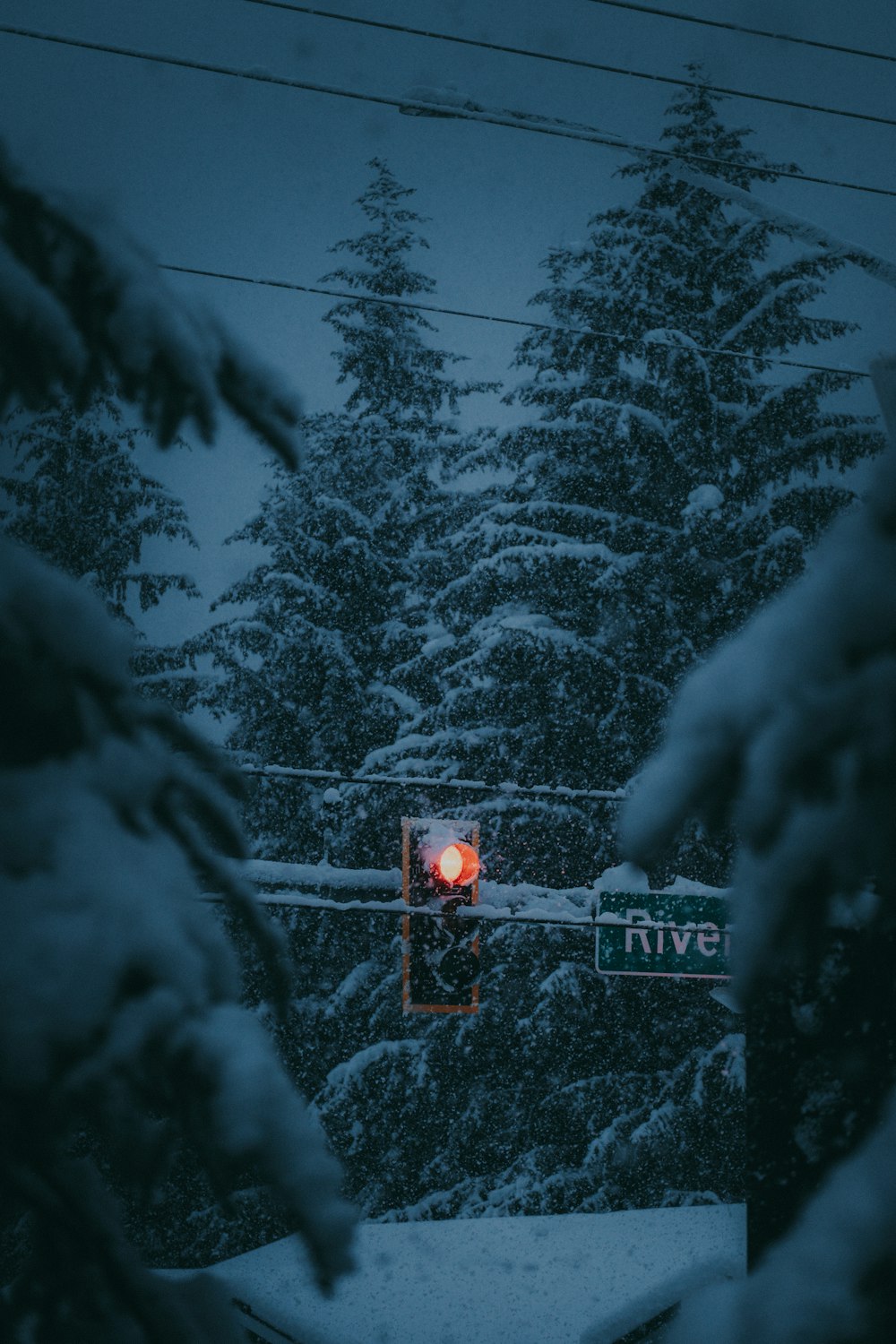 eine Ampel mitten im verschneiten Wald