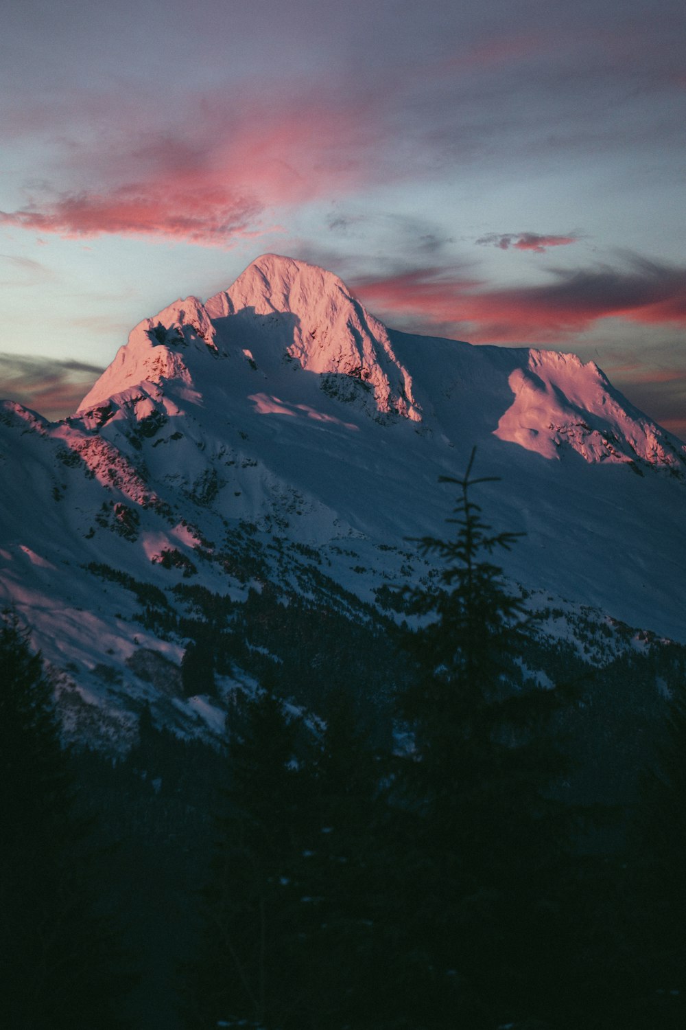 a snow covered mountain with trees in the foreground