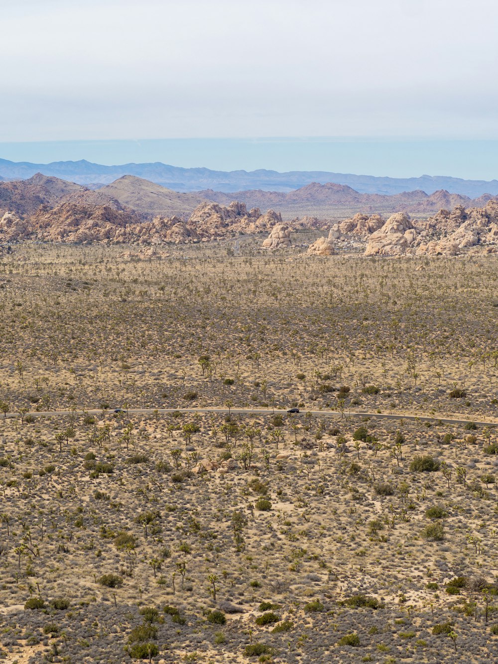 a lone horse standing in the middle of a desert