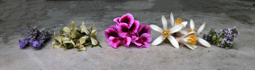 a group of flowers sitting on top of a cement floor