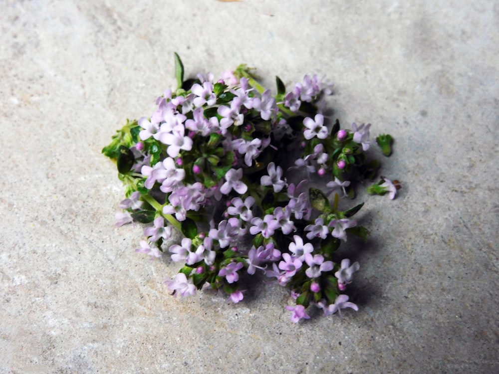 a bunch of small purple flowers laying on the ground