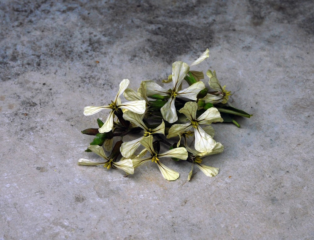 a bunch of flowers that are laying on the ground