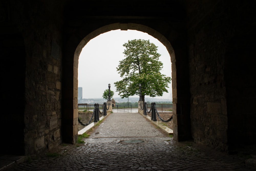 a stone walkway with a tree in the middle of it