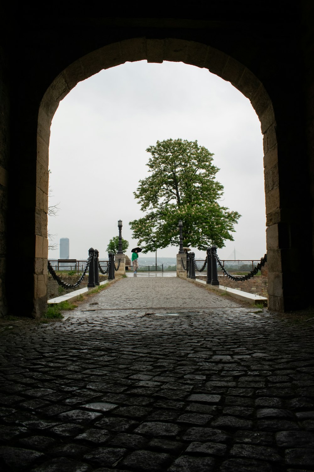 a stone walkway with a tree in the middle of it