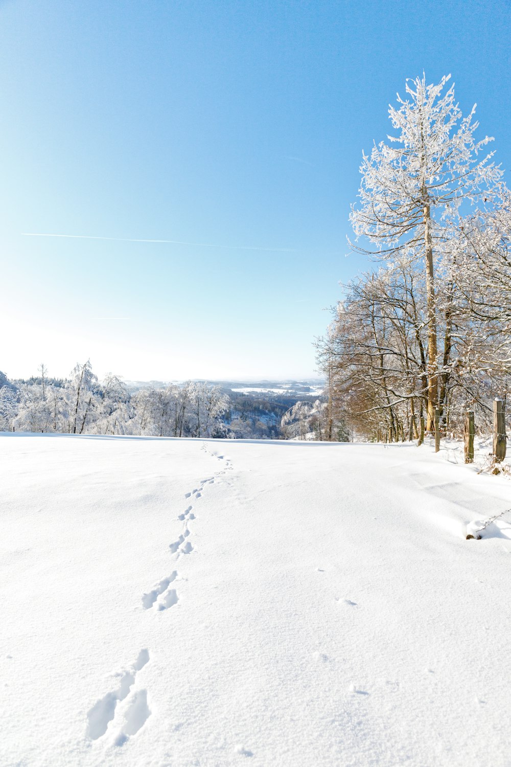 a person riding skis on a snowy surface