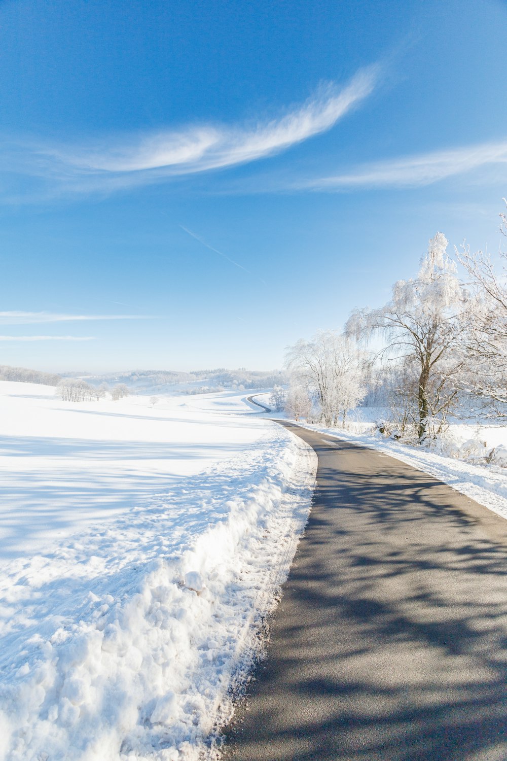 a snow covered road with trees and a blue sky