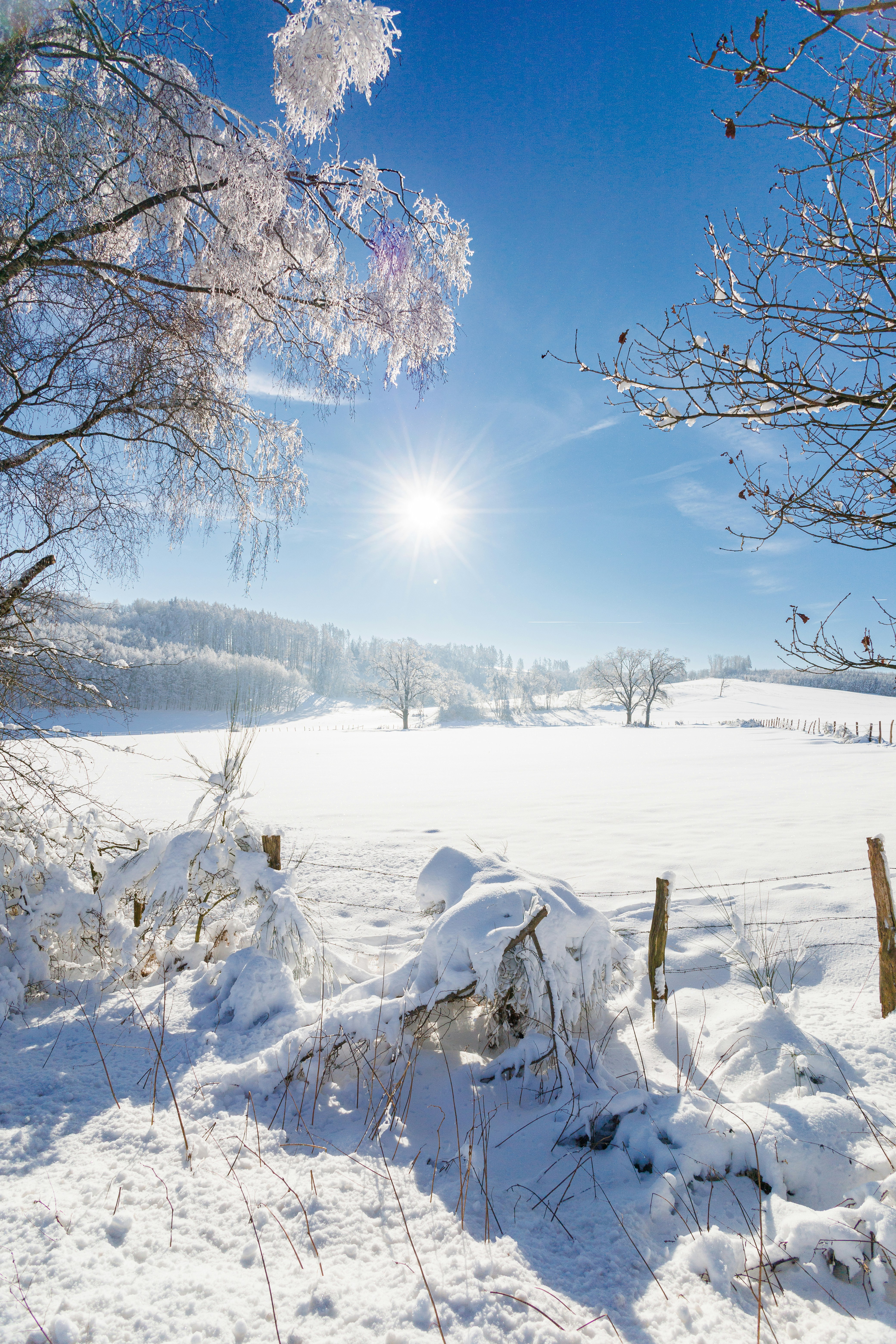 Photo by stockbirken