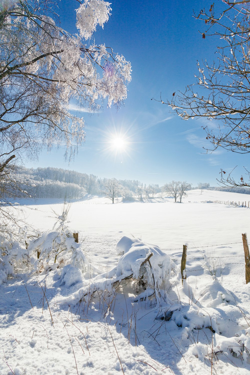 the sun shines brightly over a snowy field