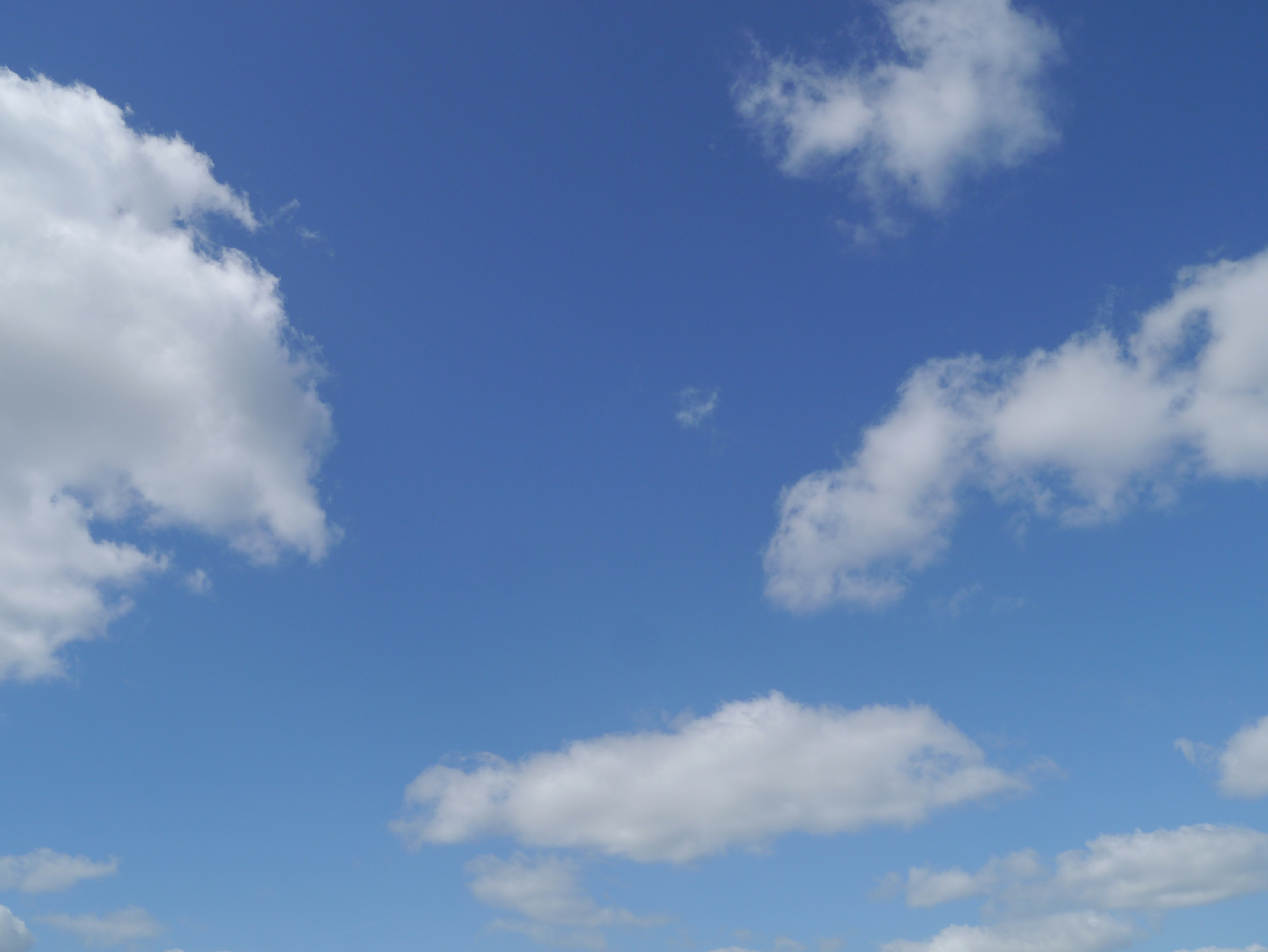 Photo by photagrapher1