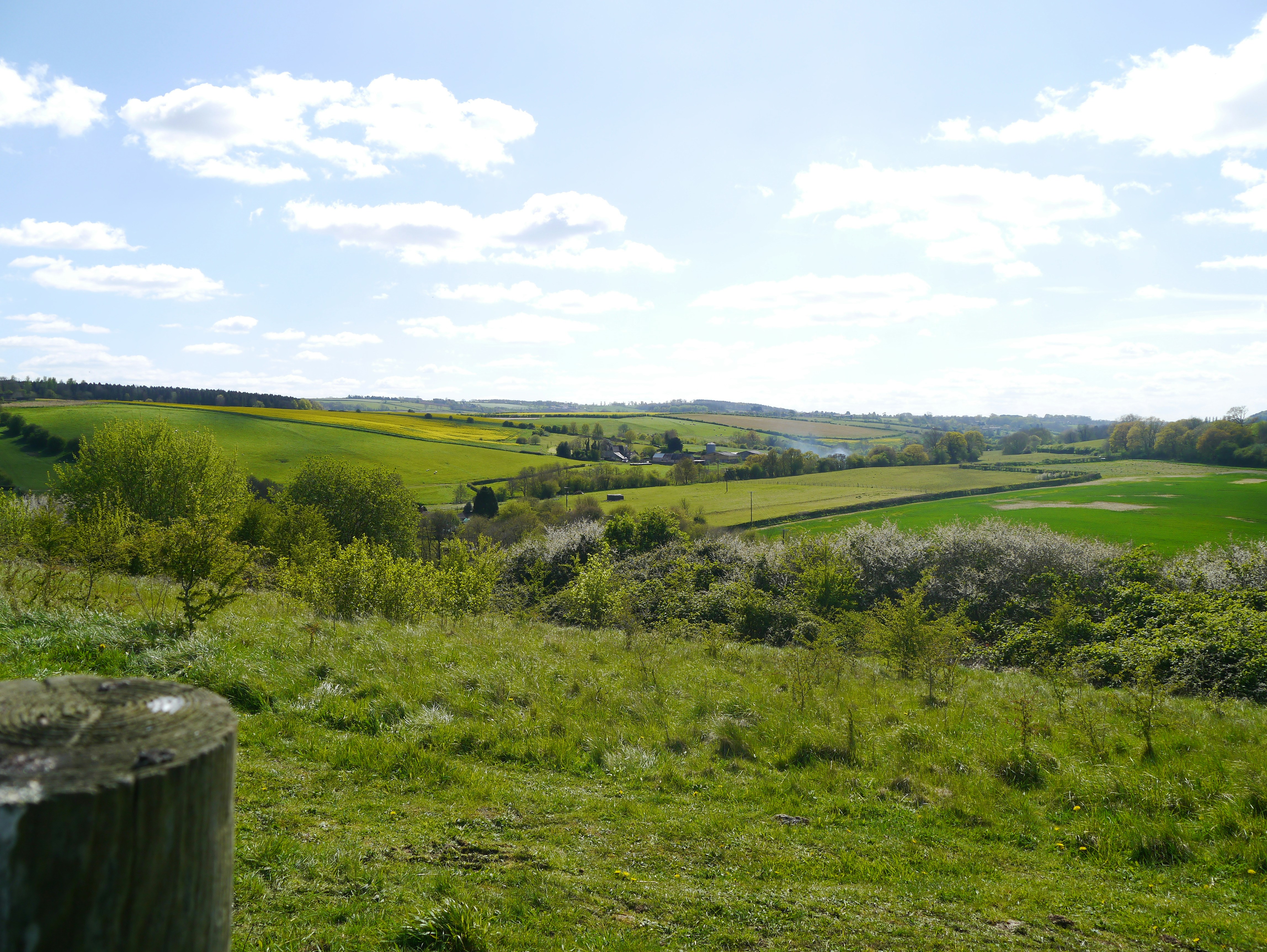 Photo by photagrapher1