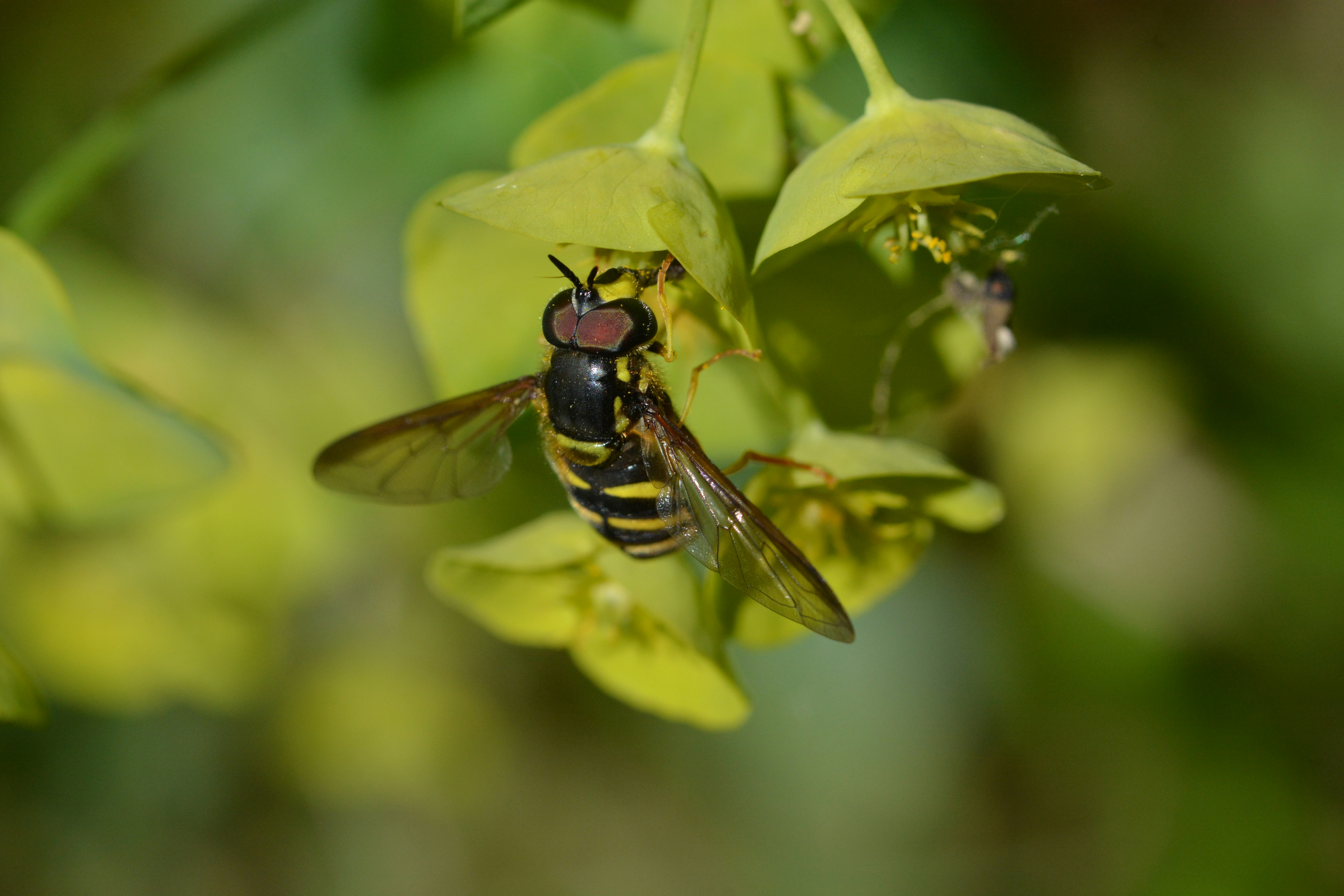 Photo by ashwinward18