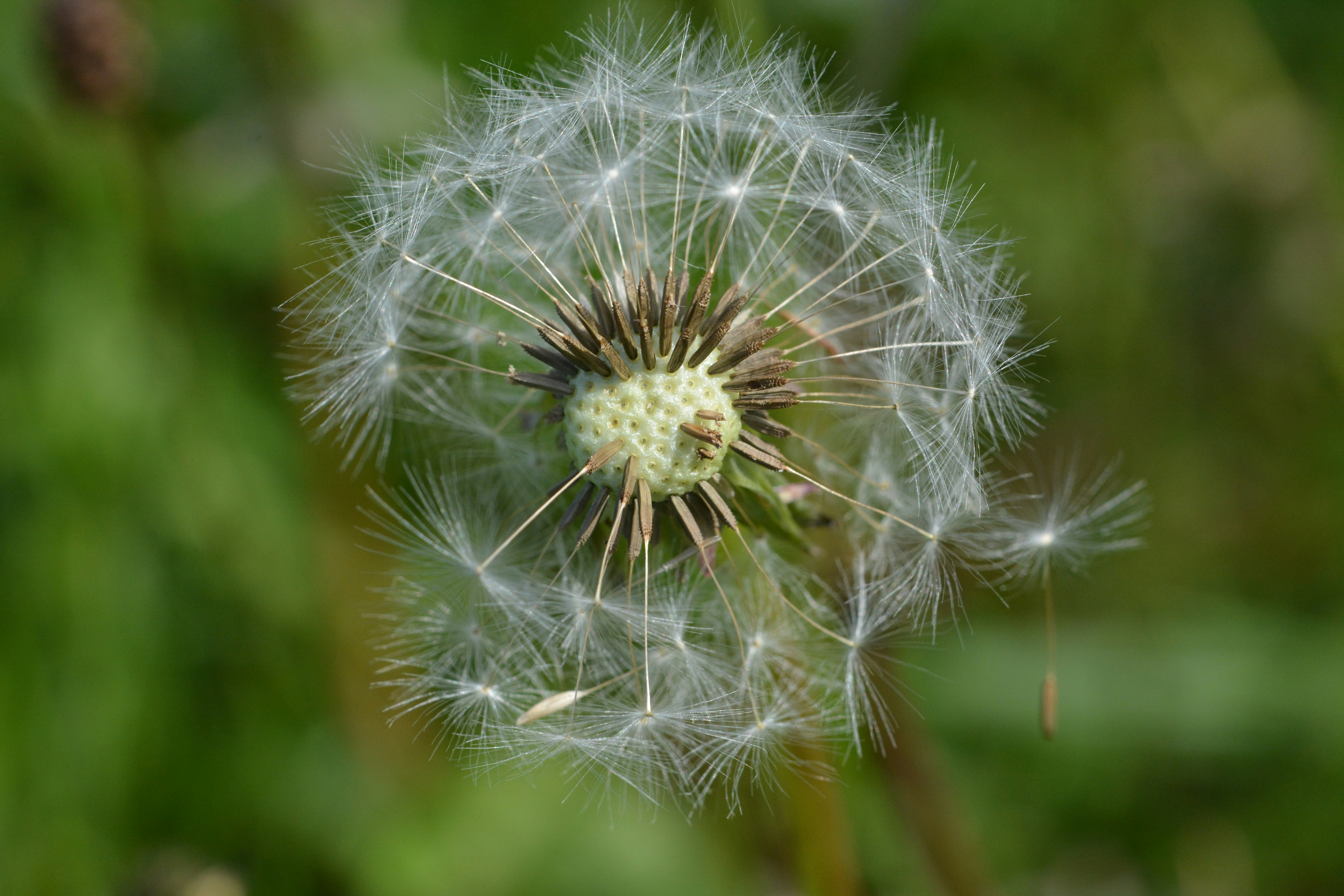 Photo by ashwinward18