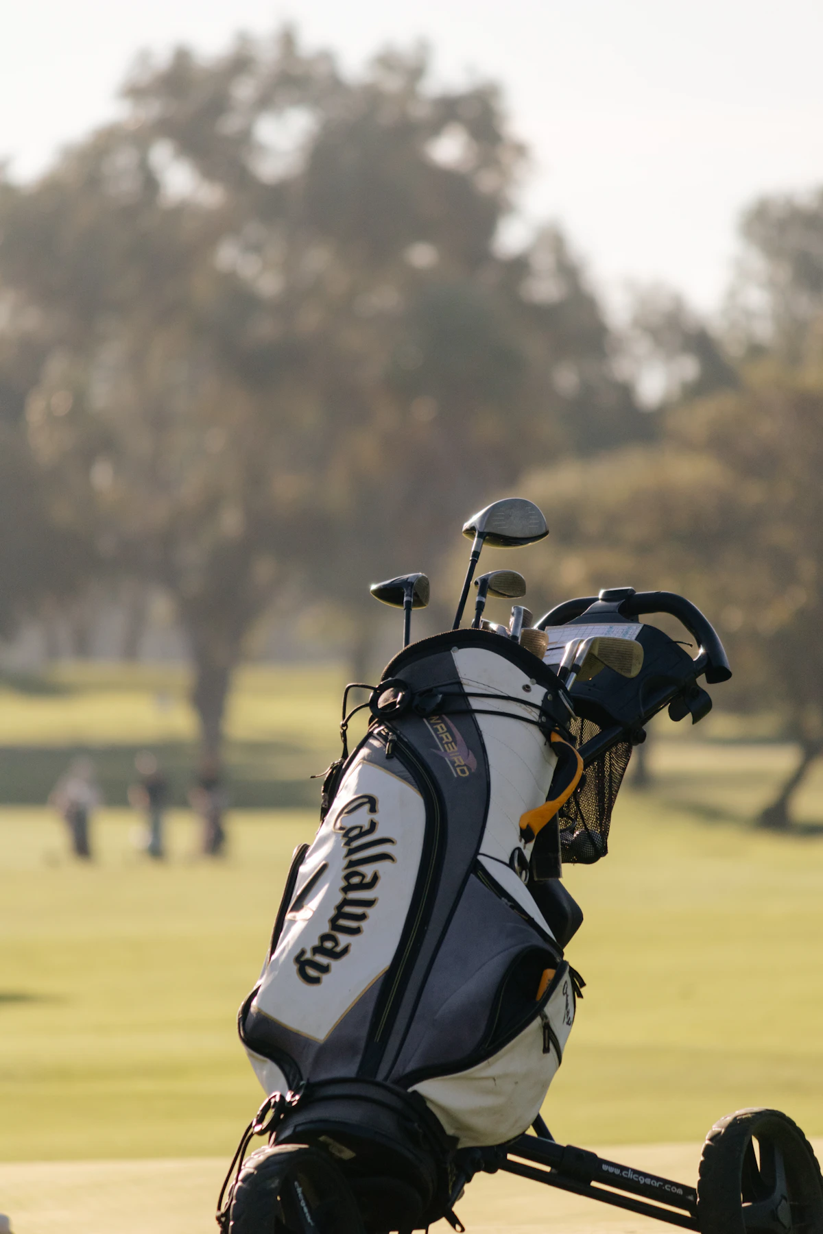 Golf bag with clubs standing on a fairway