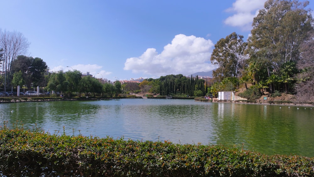 a lake surrounded by a lush green park