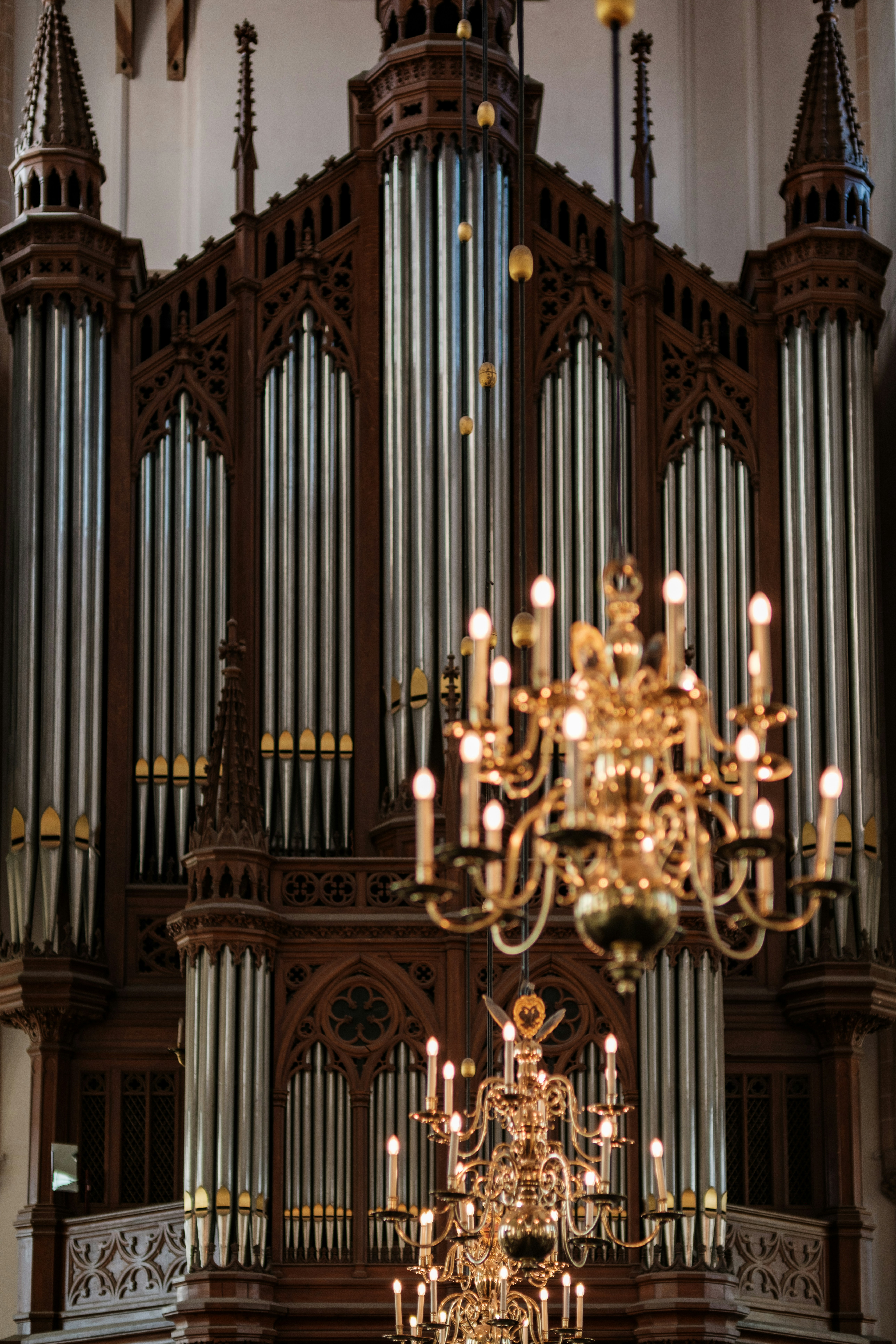 Photo by haberdoedas2