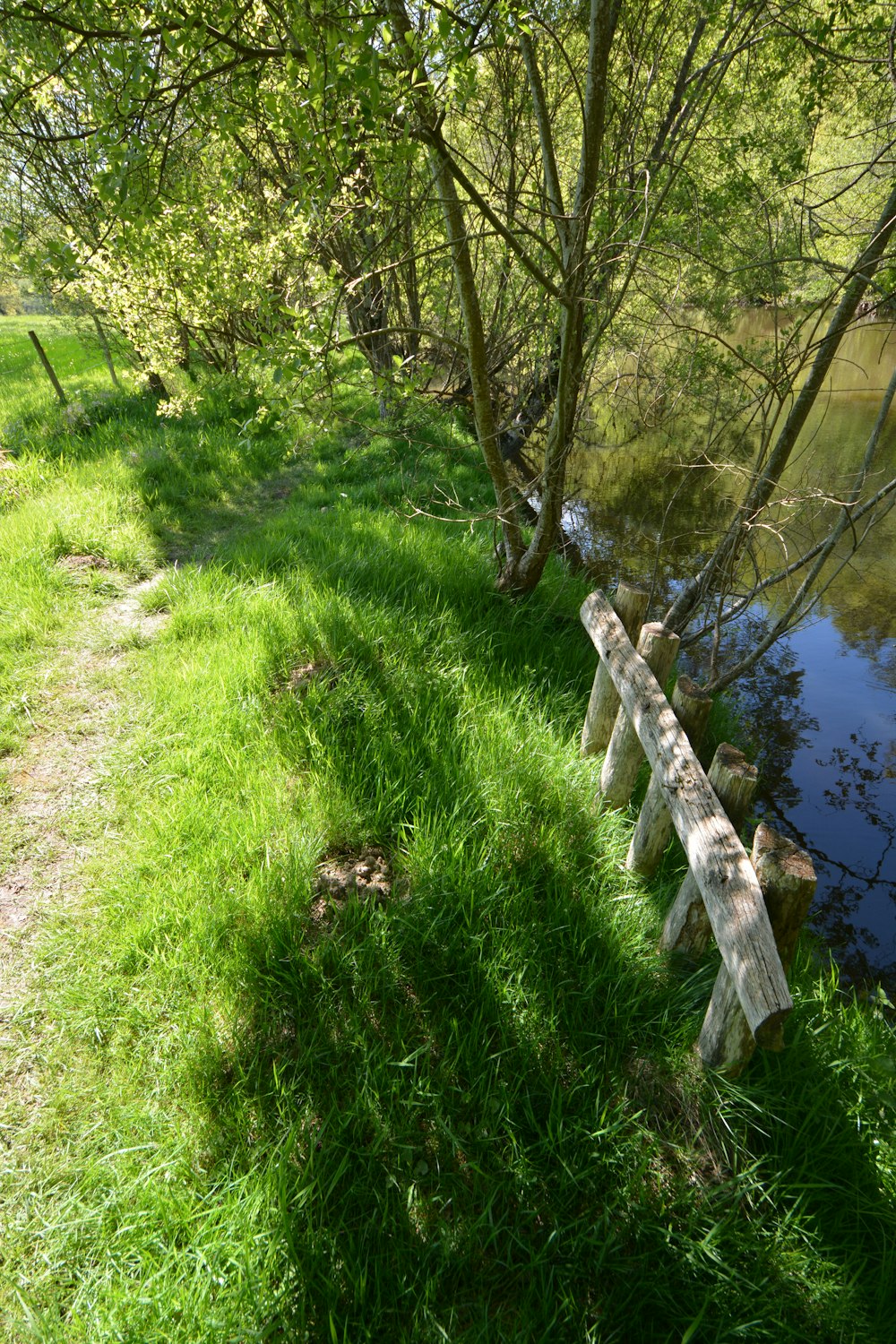 a wooden bench sitting on the side of a lush green field