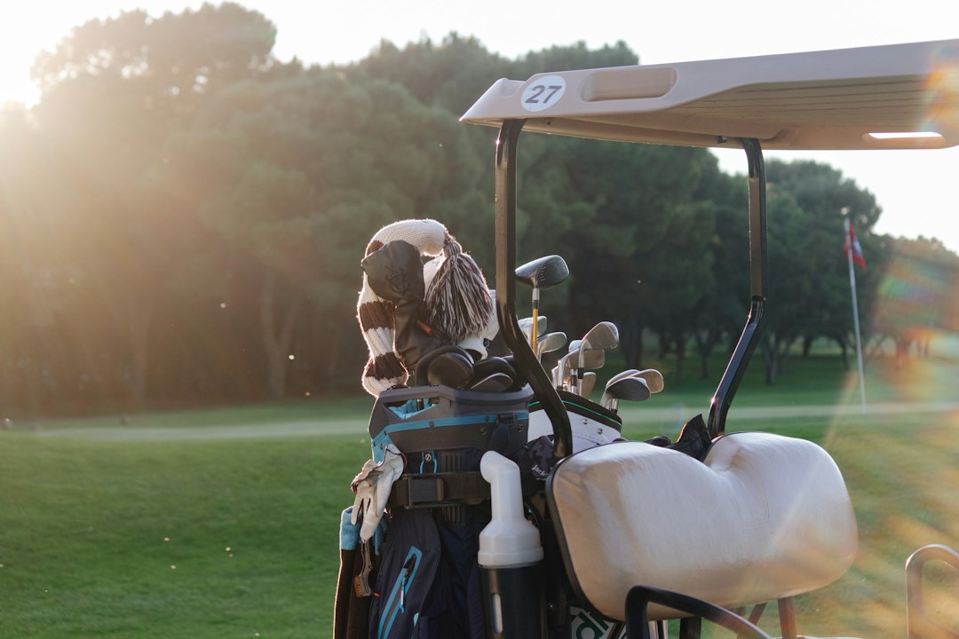 golf bag stand