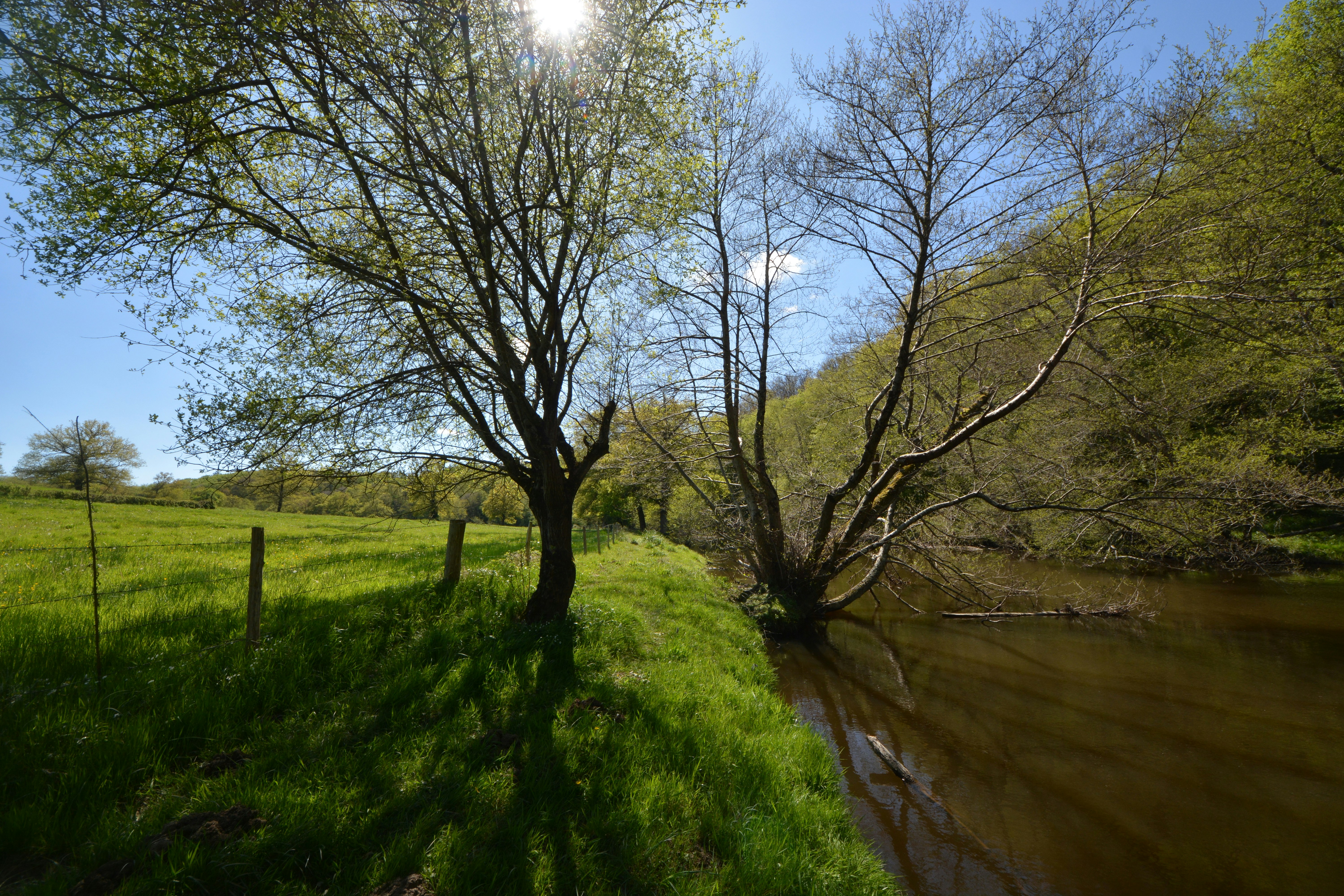 Photo by ashwinward18