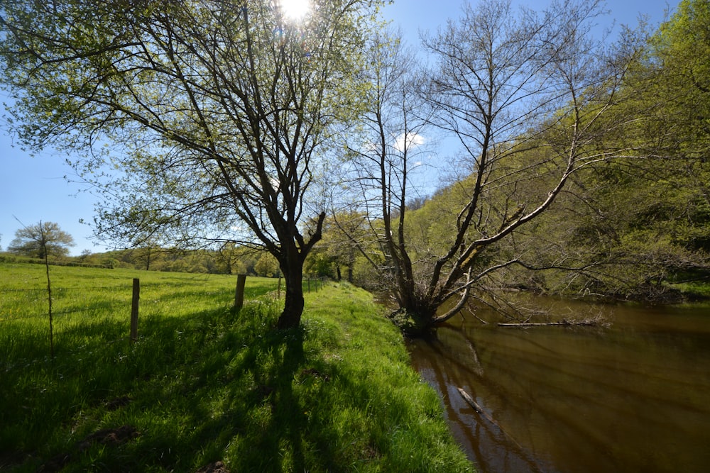 a river running through a lush green countryside