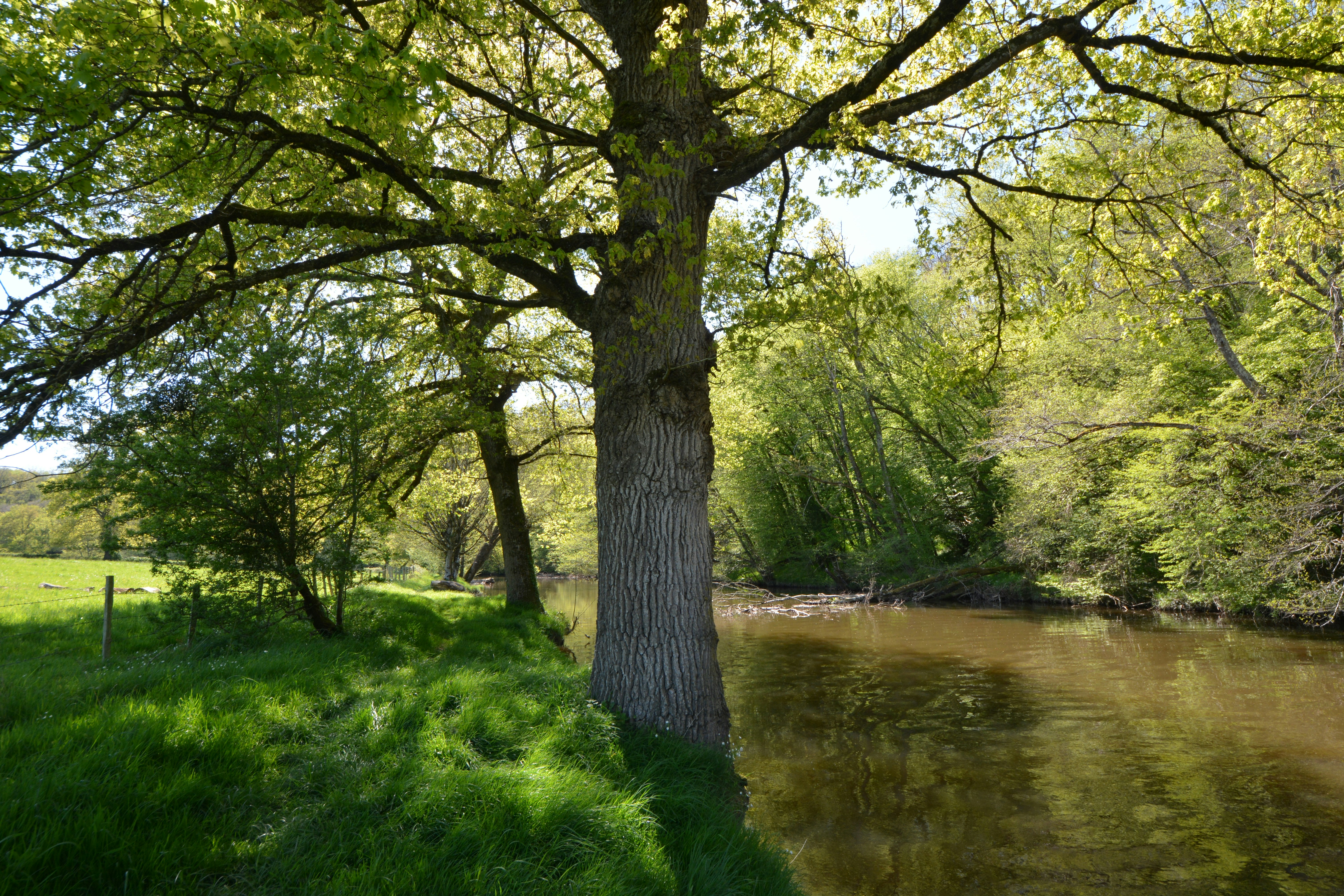 Photo by ashwinward18