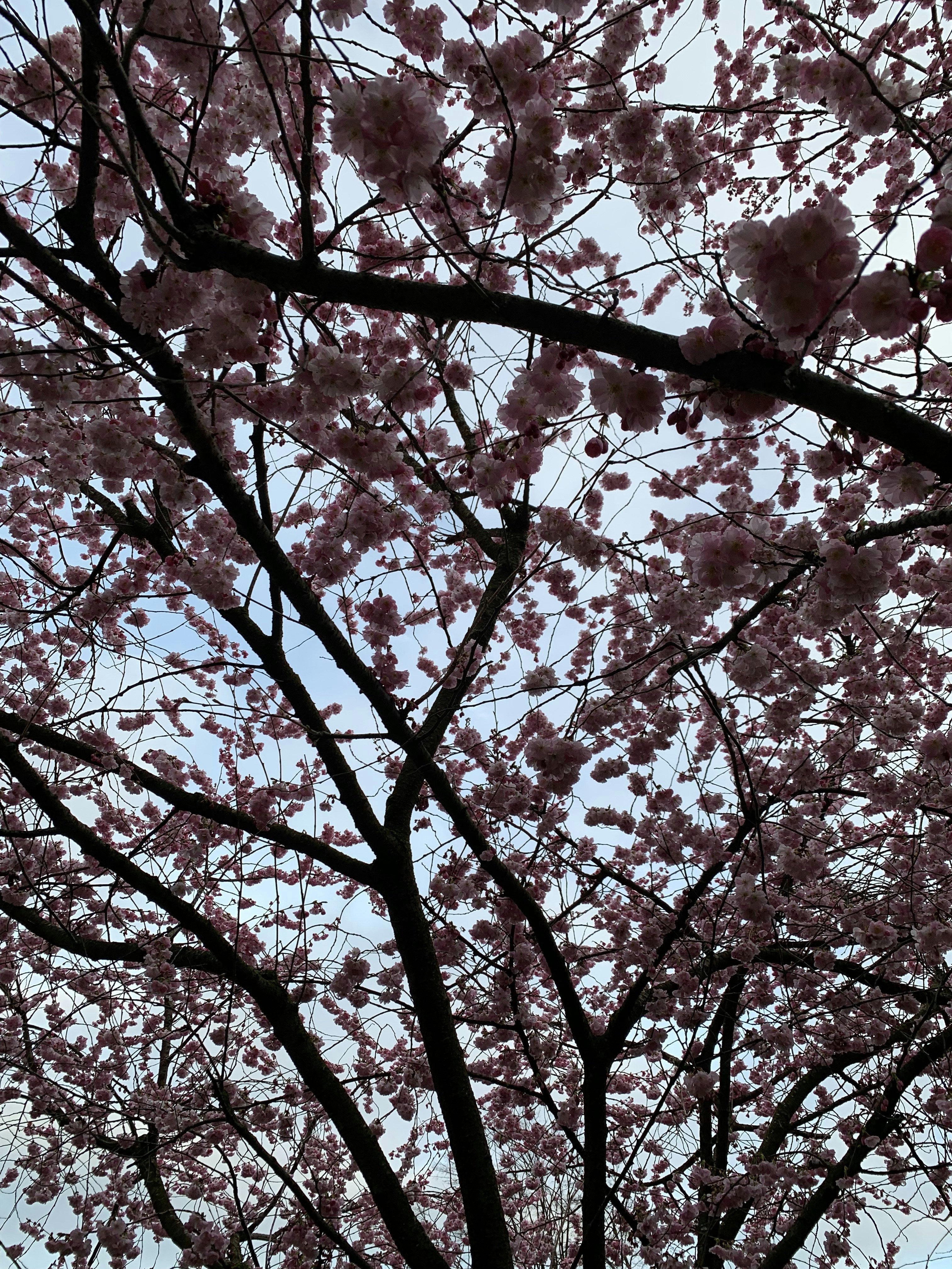 Photo by keenthebluberryeater