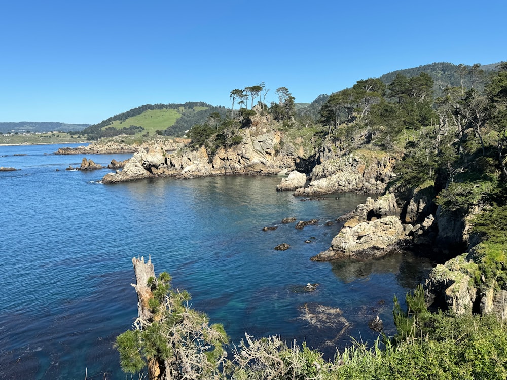 a body of water surrounded by trees and rocks