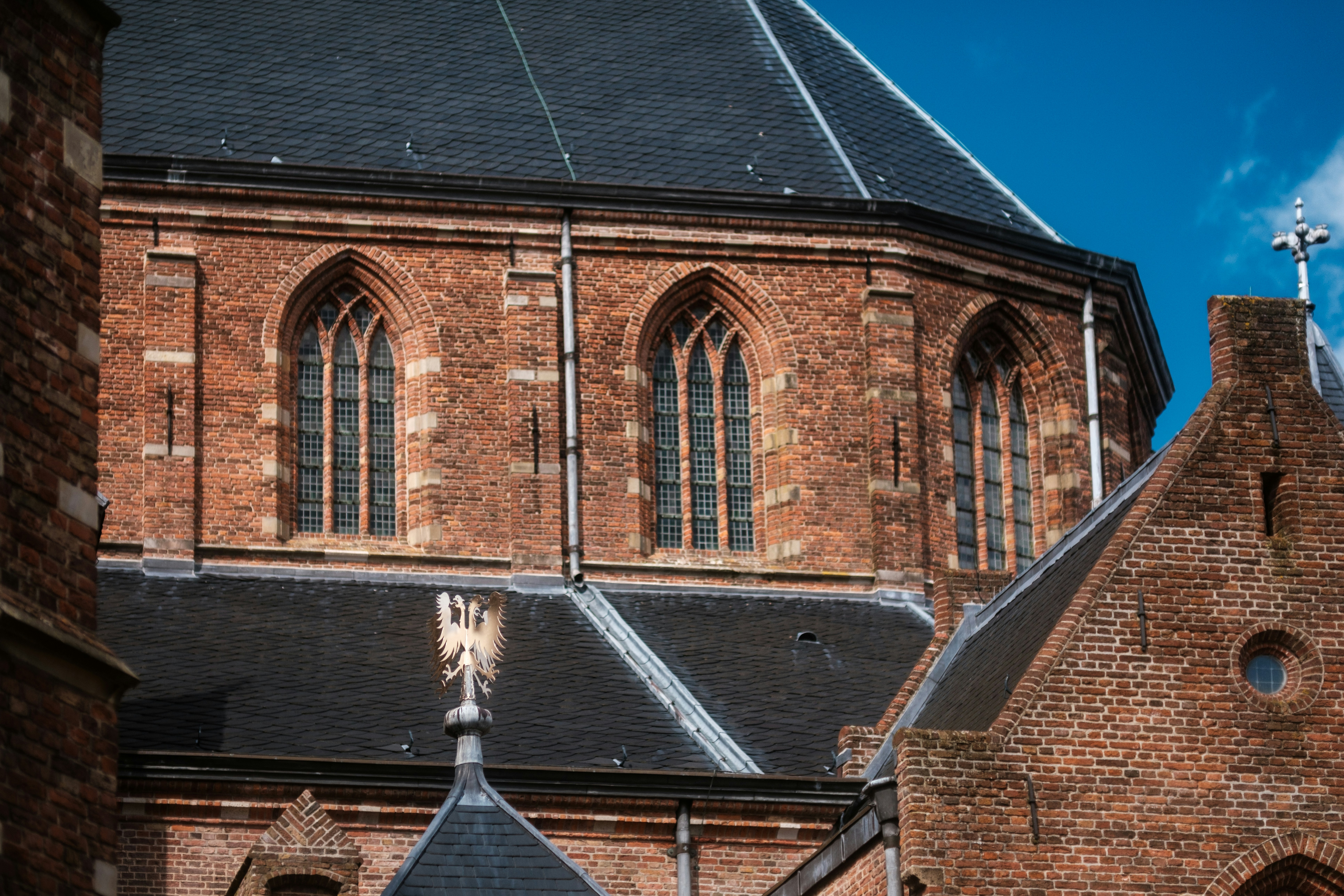 Photo by haberdoedas2