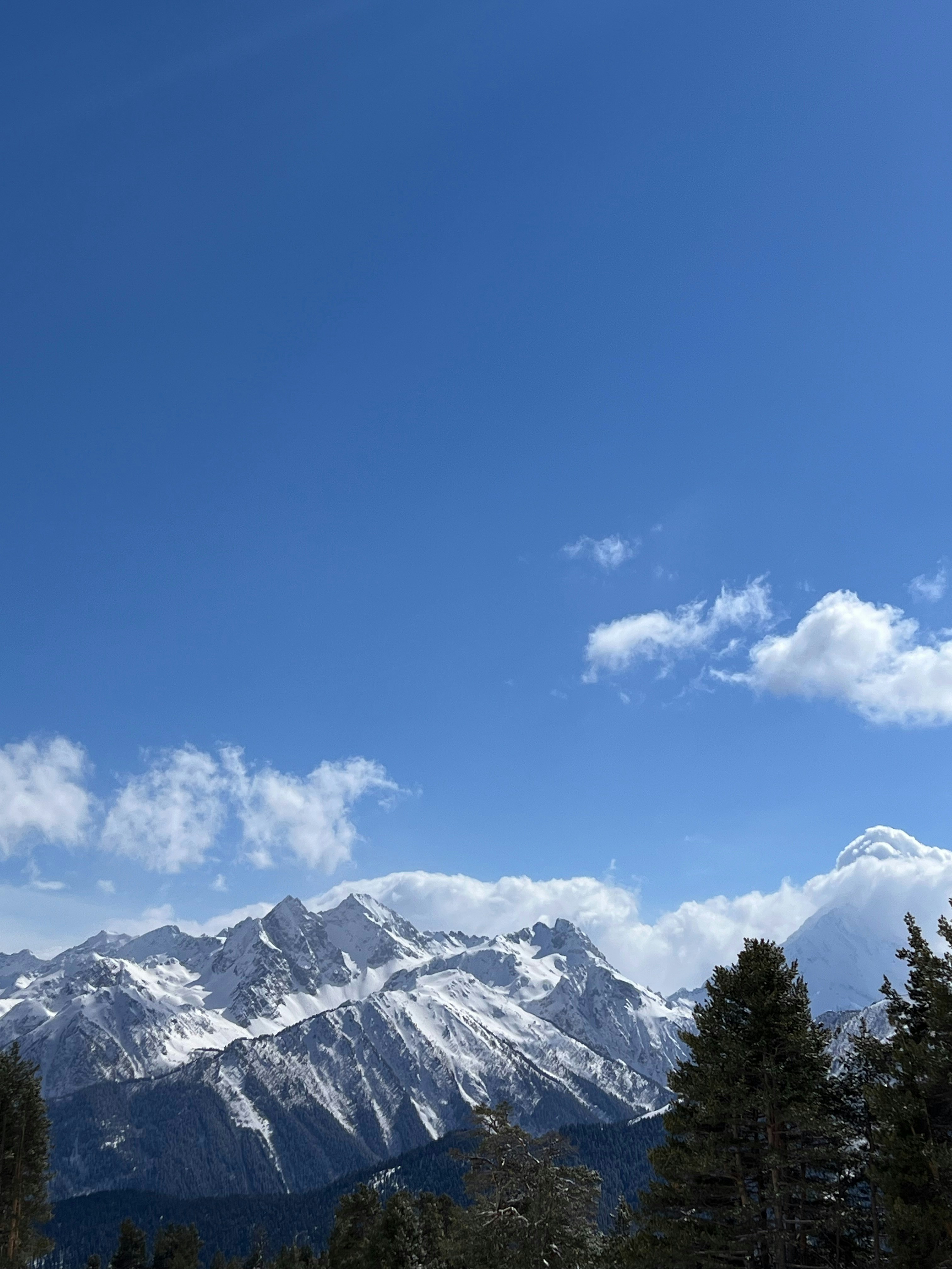 Photo by nepifannova