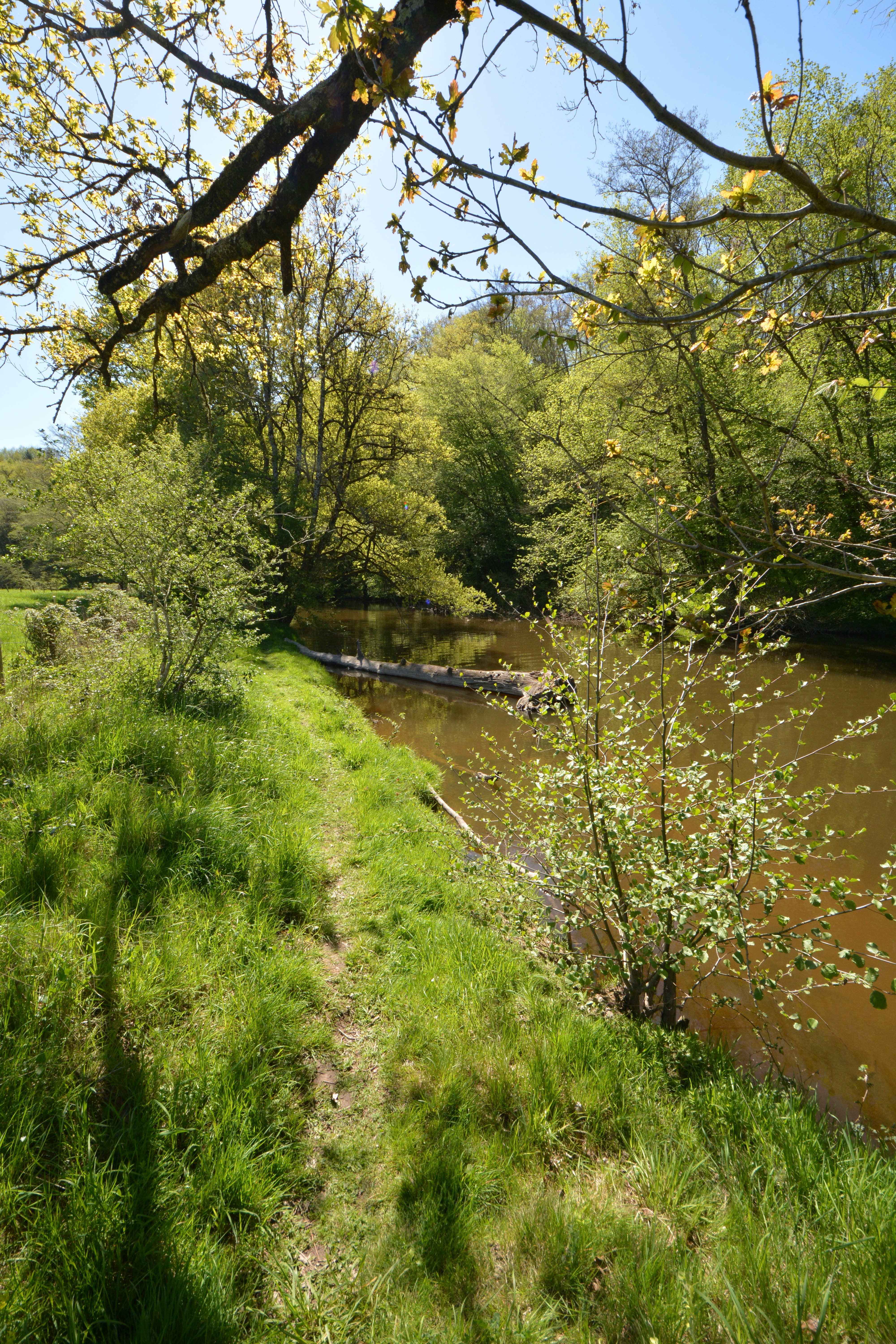 Photo by ashwinward18