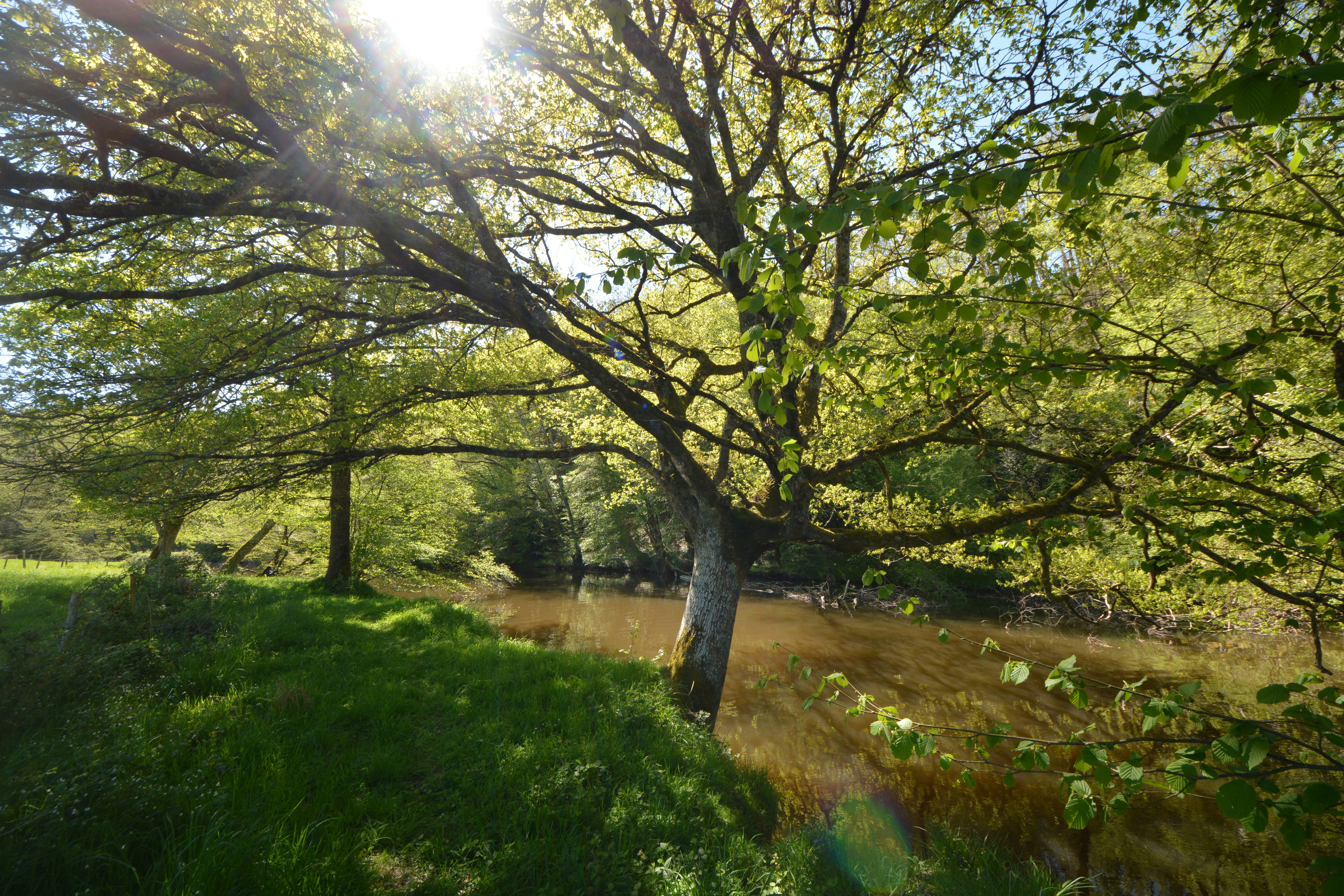 Photo by ashwinward18