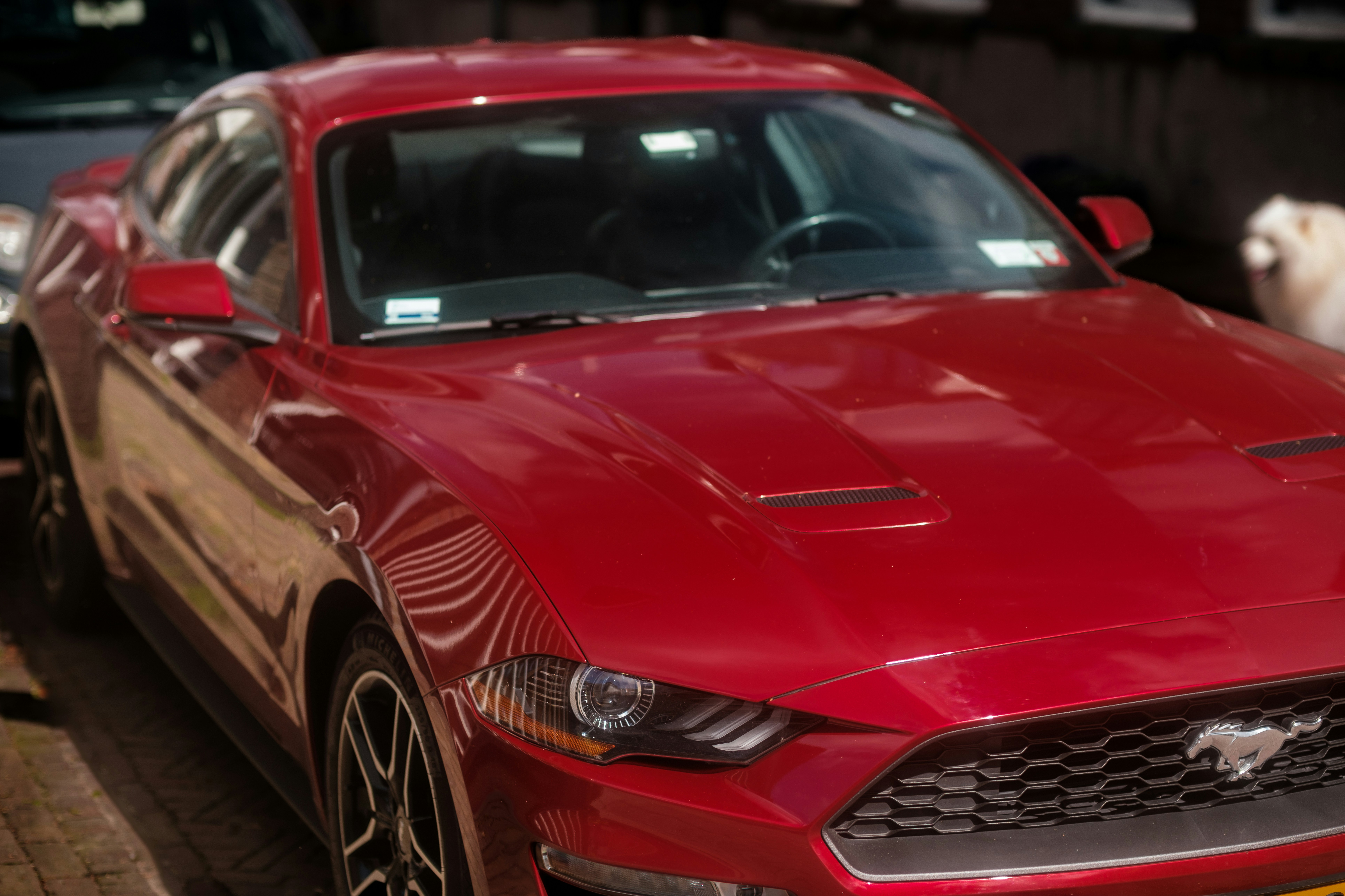 Photo by haberdoedas2