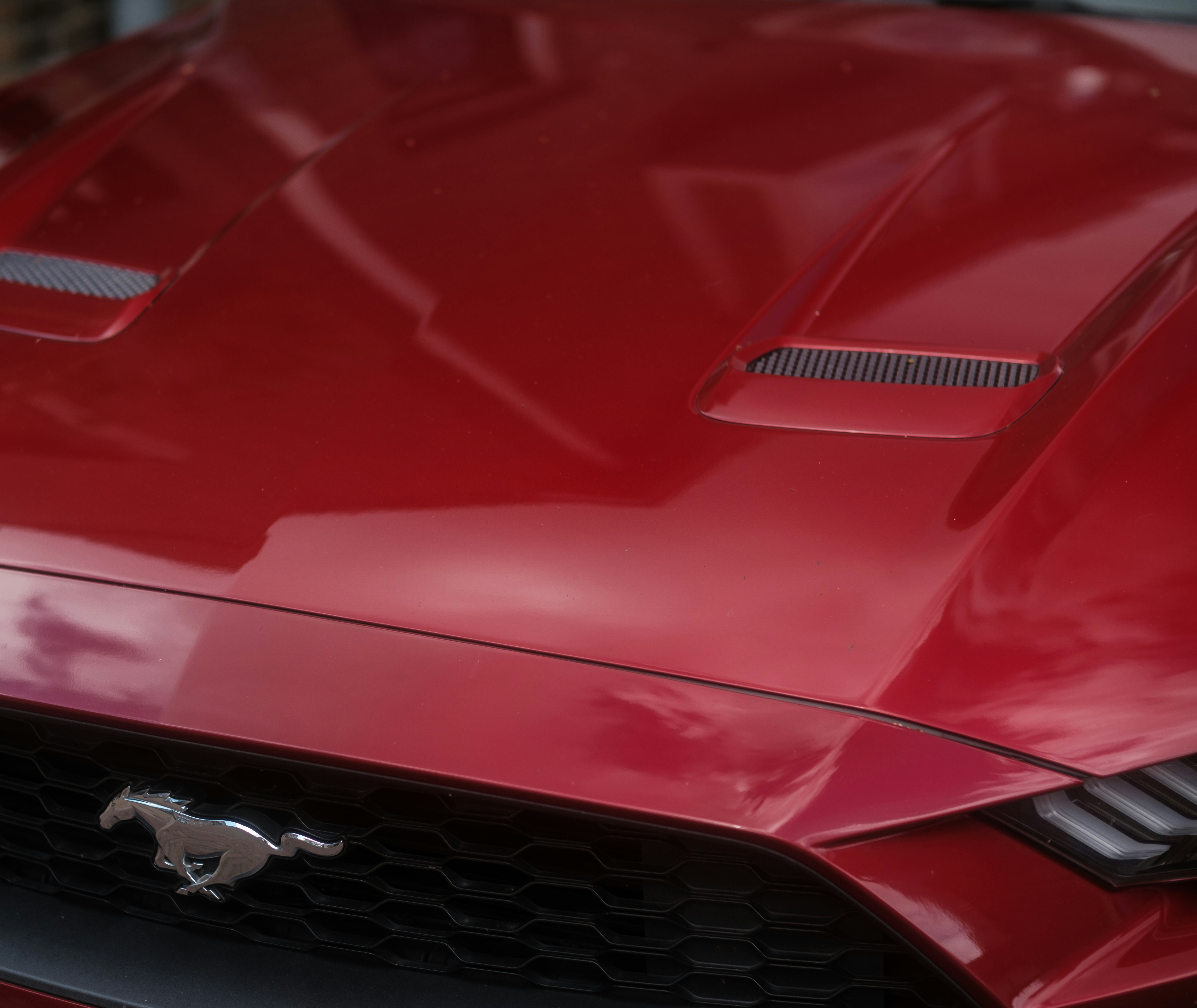 Photo by haberdoedas2