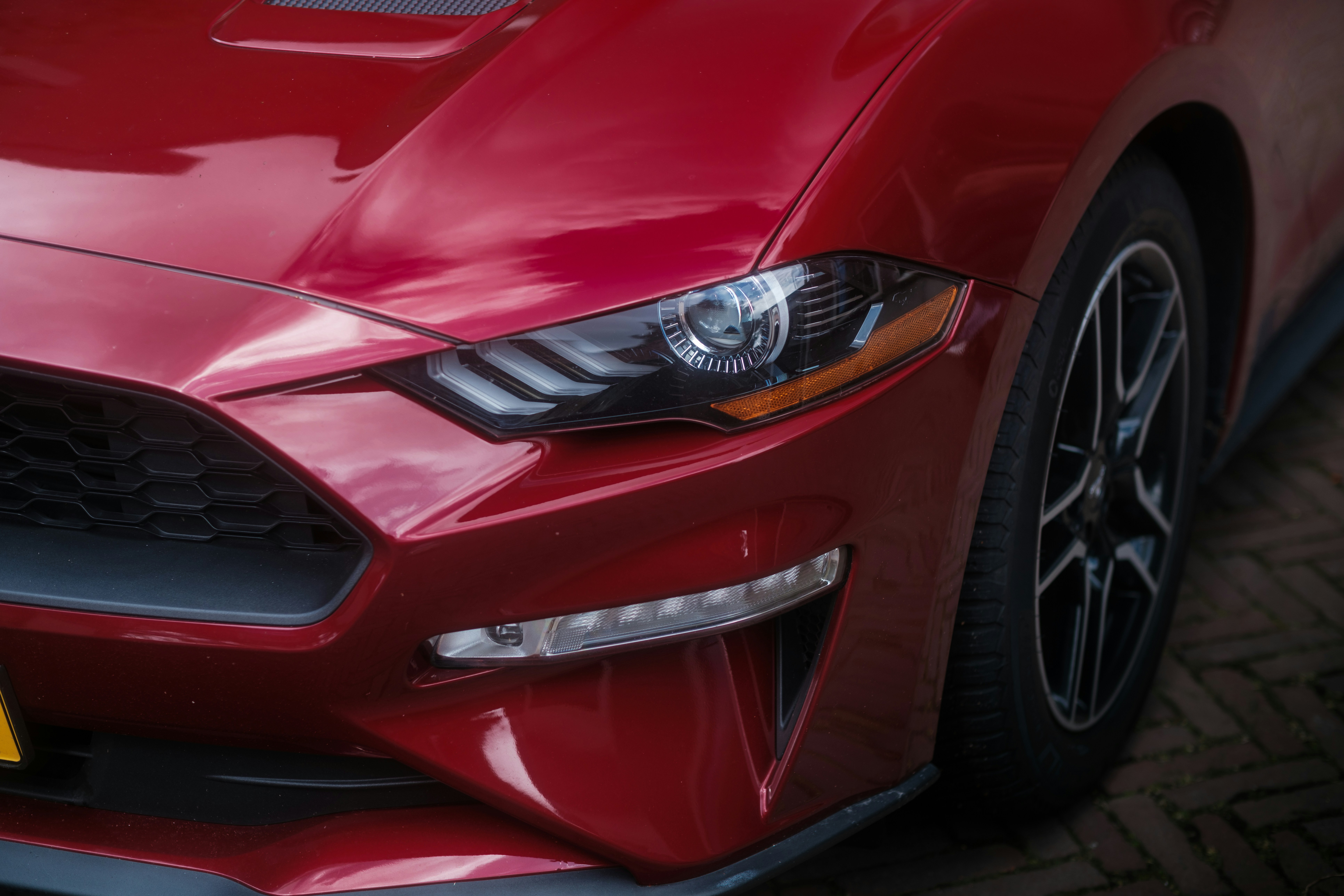 Photo by haberdoedas2