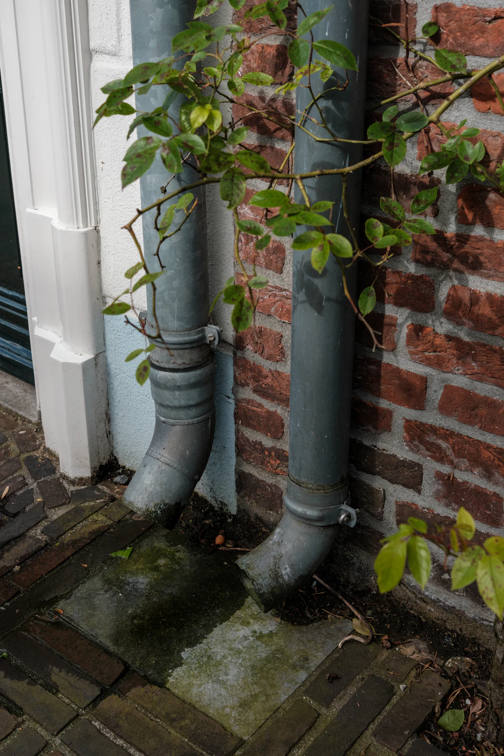 Gutter Cleaning
