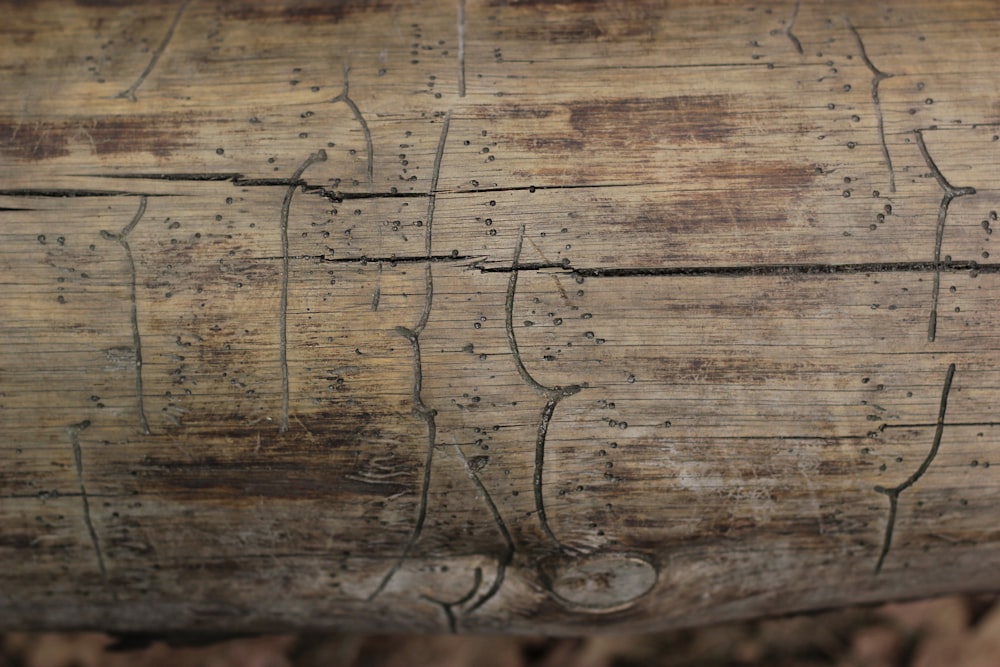 a close up of a piece of wood with lines drawn on it