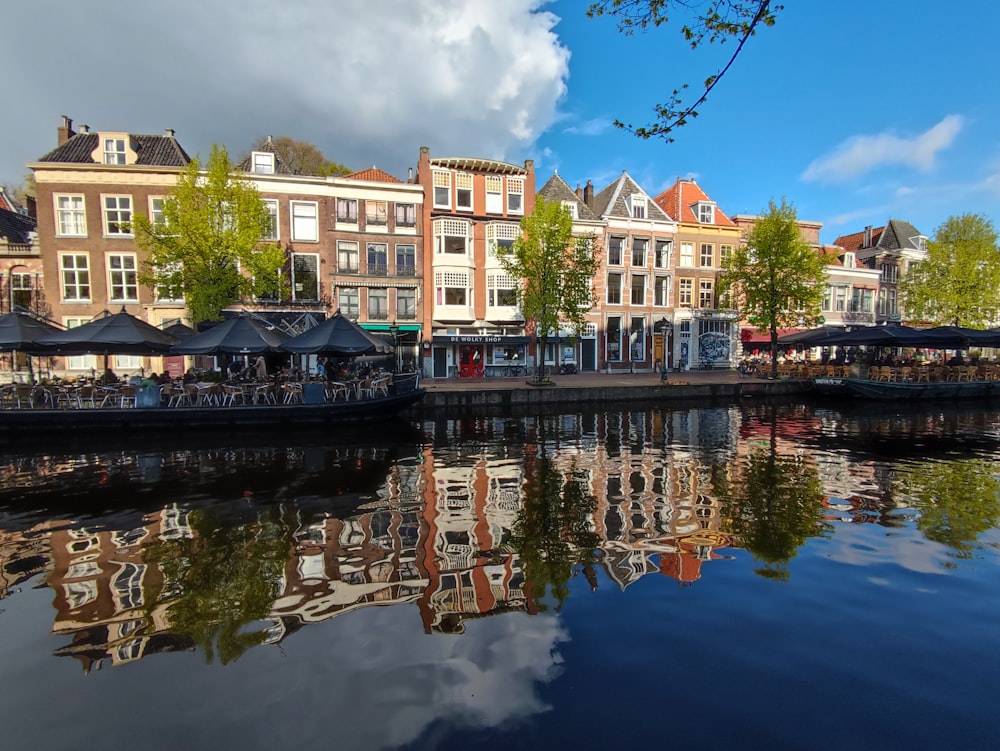 a body of water surrounded by buildings and trees