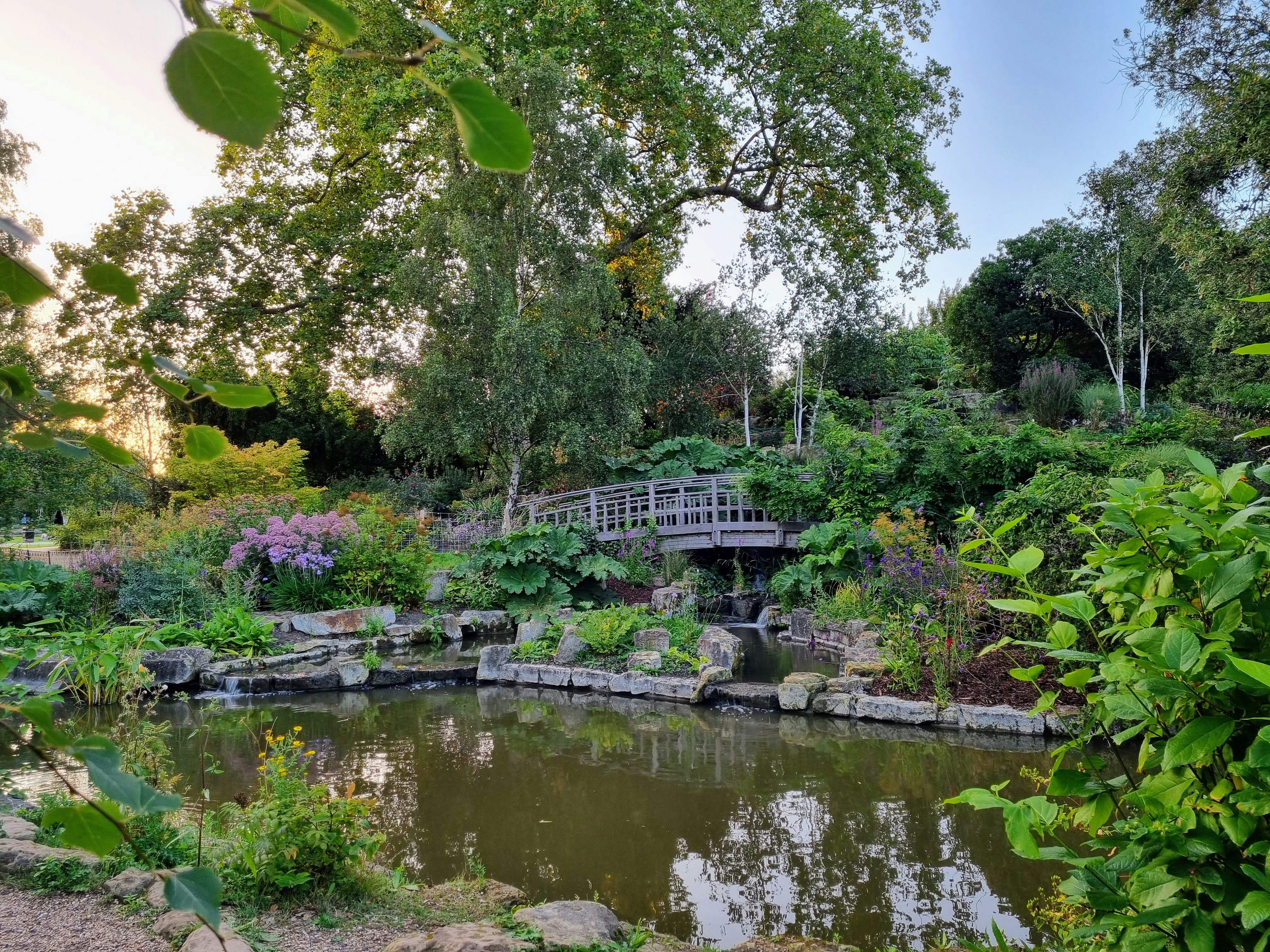 a bridge over a small pond in a park