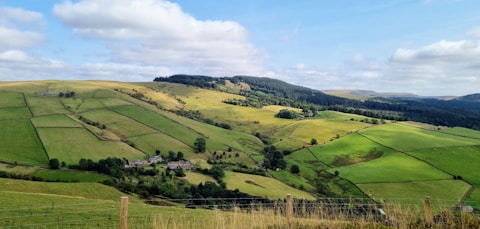 a lush green hillside covered in lush green fields