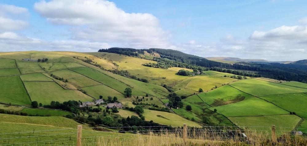 une colline verdoyante couverte de champs verdoyants